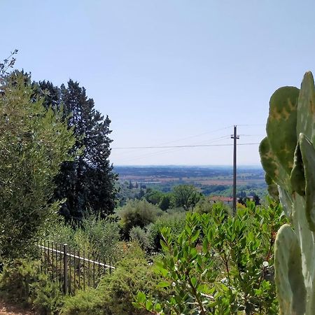 L'Olivo Appartamento Turistico Lucignano Exteriör bild